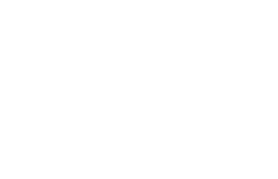 300 logo
